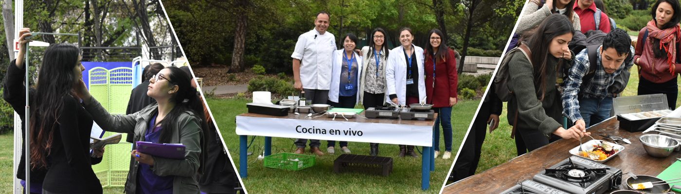 Feria Vive Sano UC